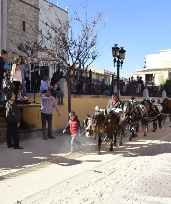 La tradició de Sant Antoni Abad venç al mal temps a Burjassot